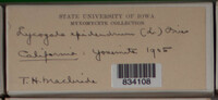 Image Associated With the Occurence